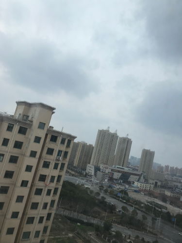 启东动物园旅行图片 3