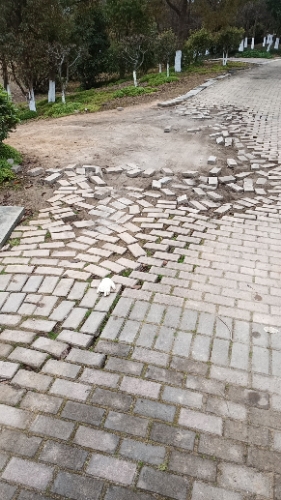 春晓生态休闲公园旅行图片 1