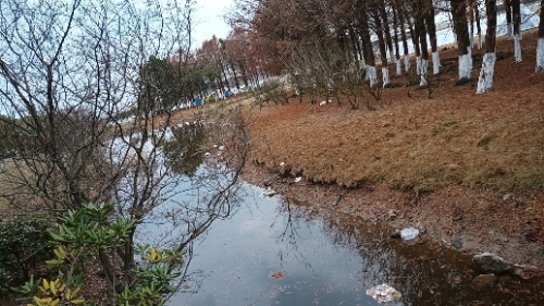 春晓生态休闲公园旅行图片 2