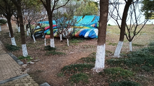 春晓生态休闲公园旅行图片 3