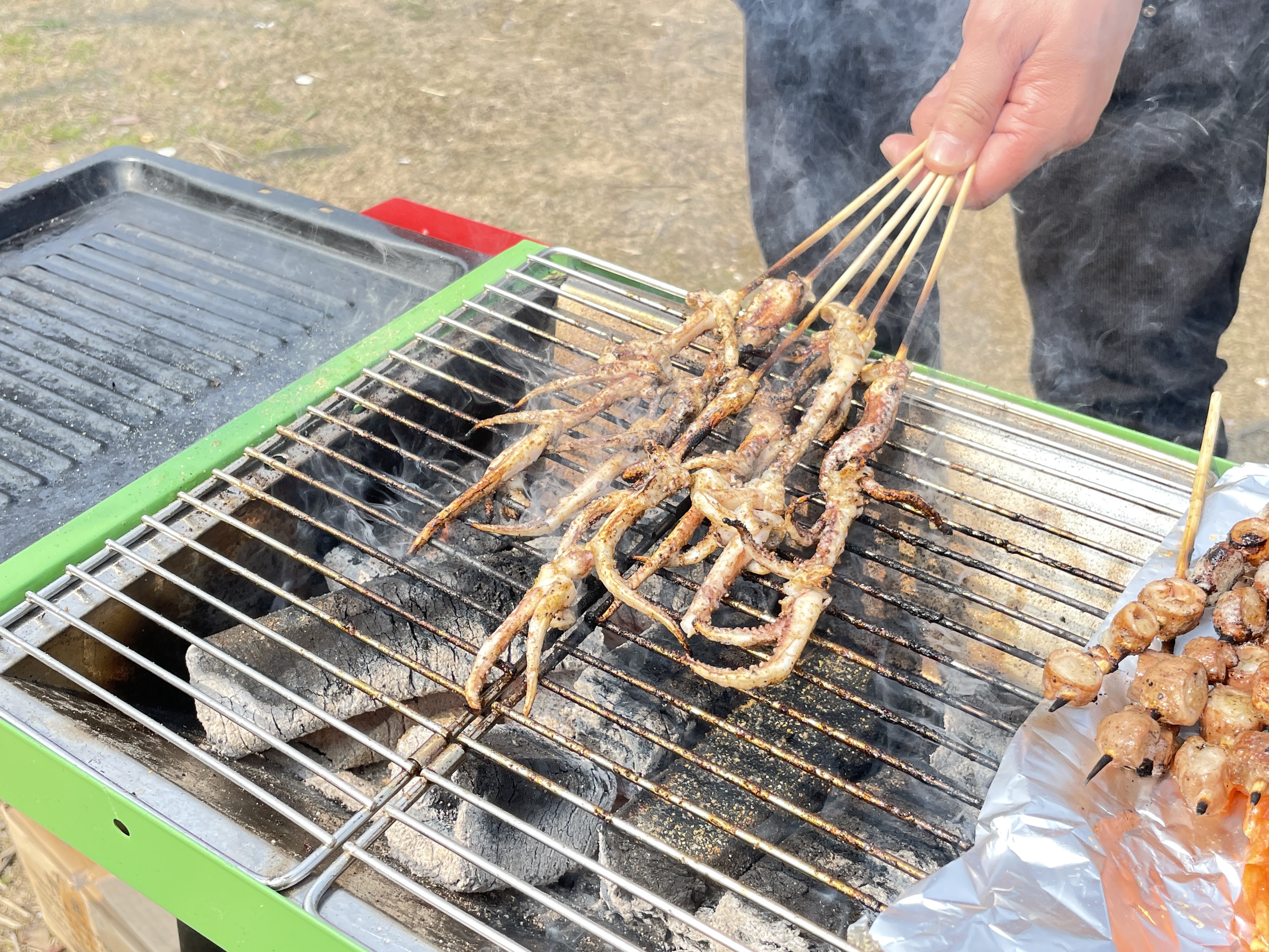 春晓生态休闲公园旅行图片 3