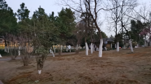 长临河镇法治文化公园旅行图片 2