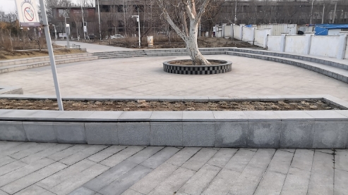 运河文化广场旅行图片 2