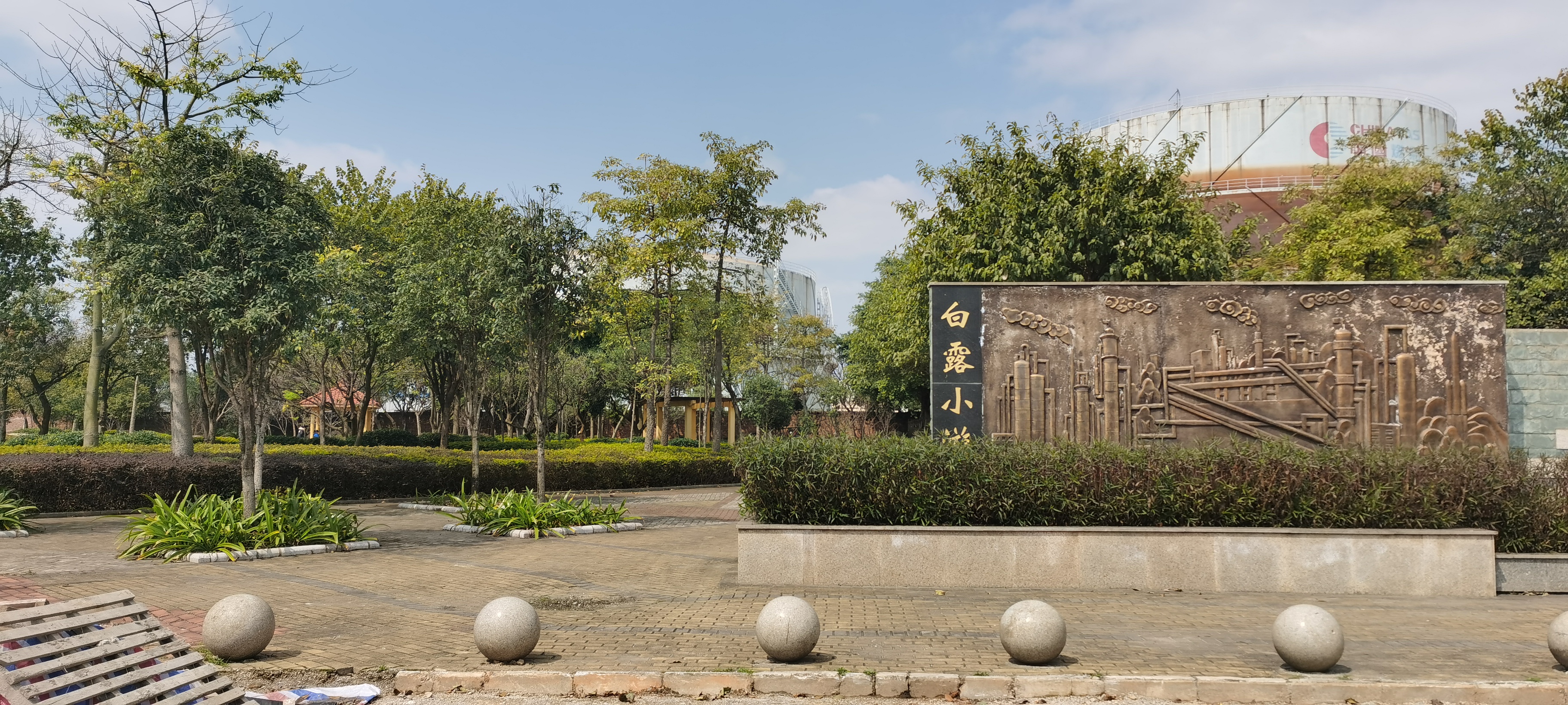 白露小游园旅行图片 1