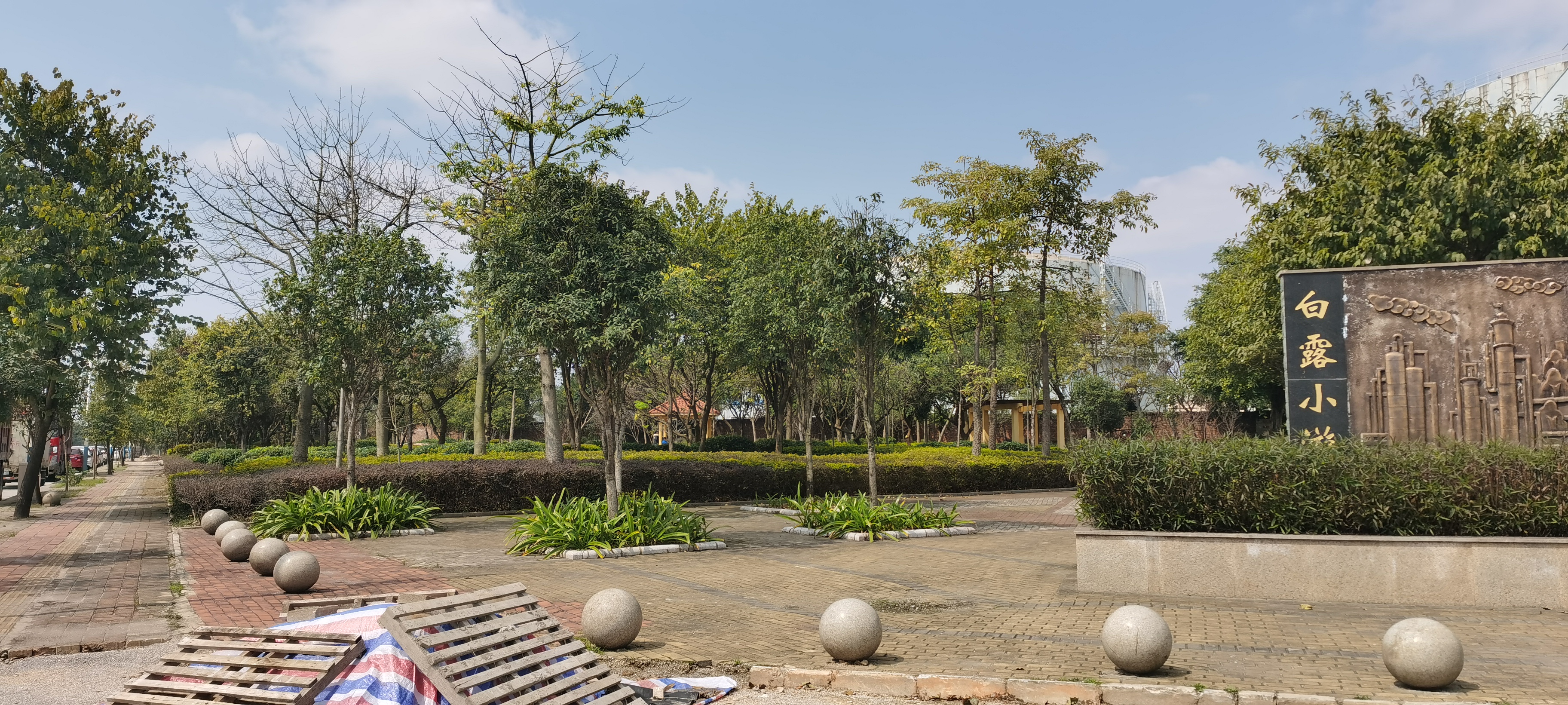 白露小游园旅行图片 2