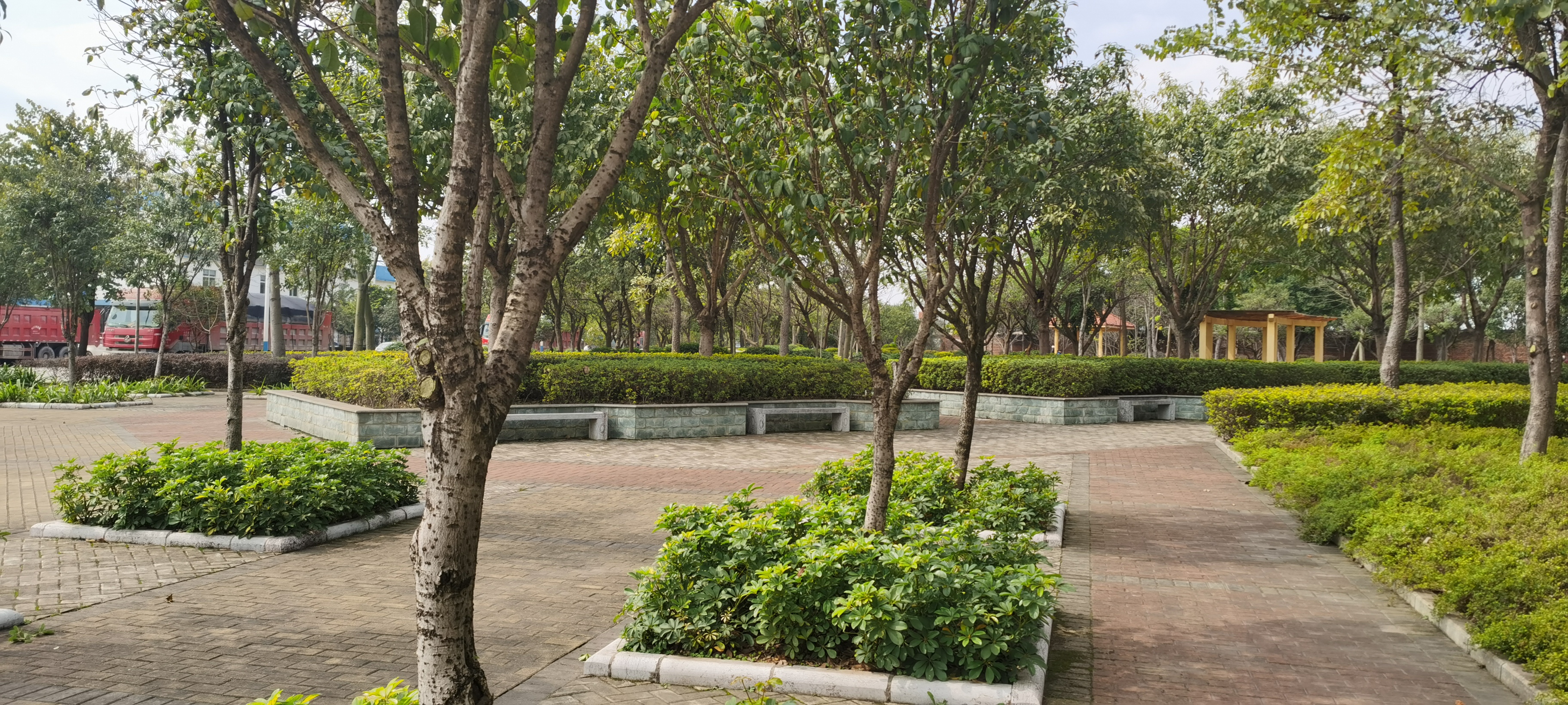 白露小游园旅行图片 3