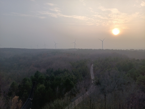 瞭望塔旅行图片 1