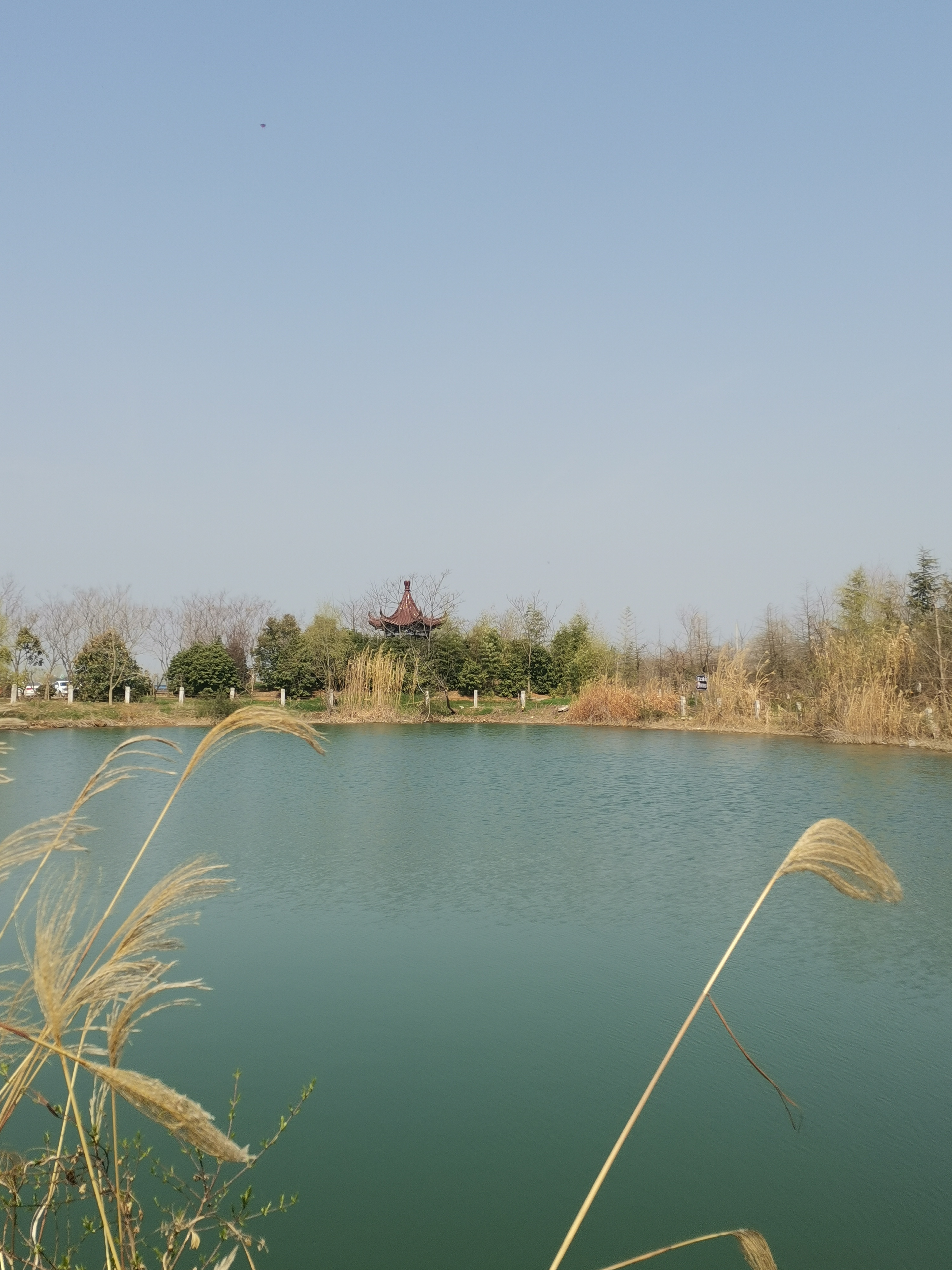 龟山遗韵旅行图片 3