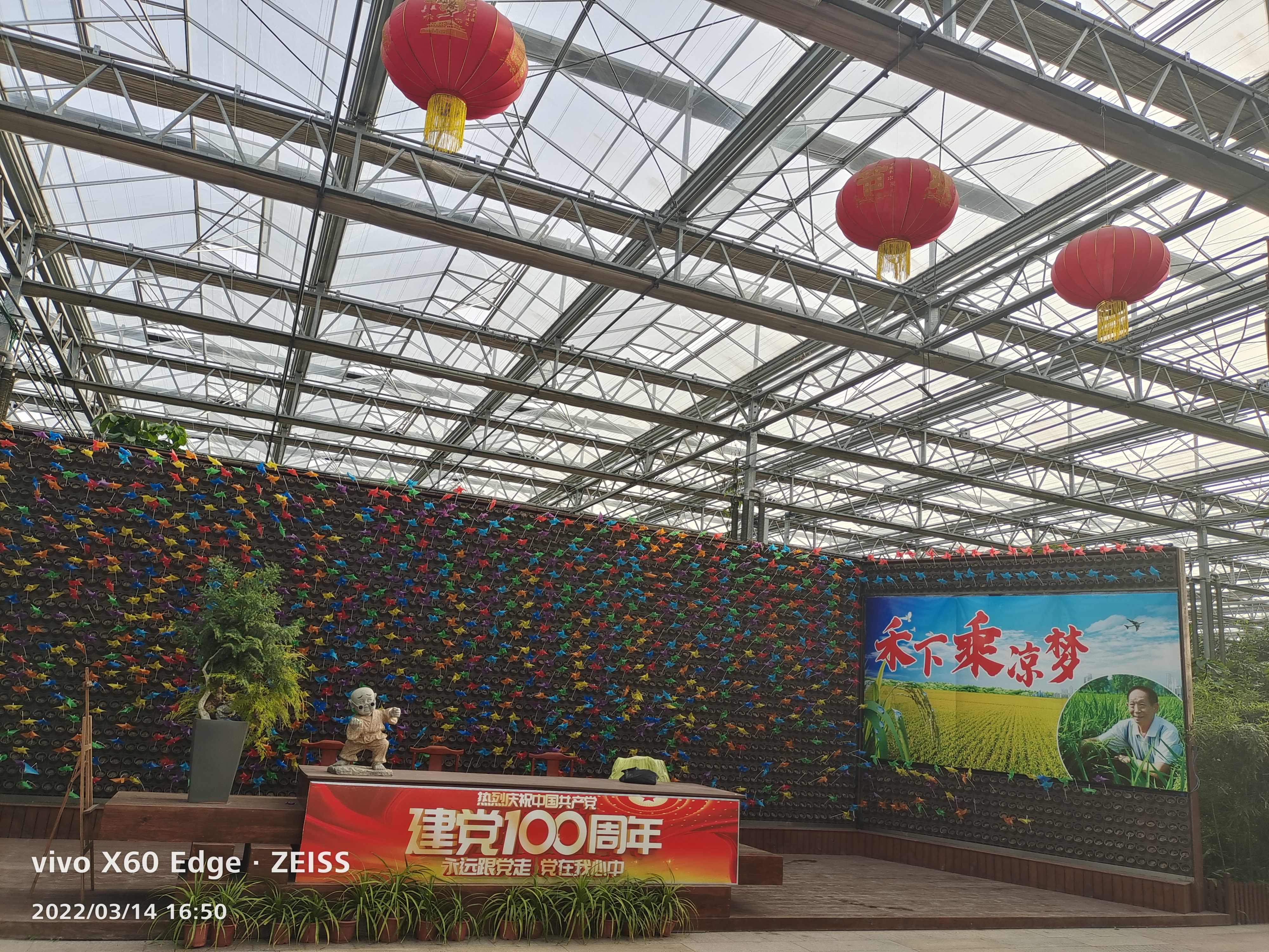 梨花小镇植物博览园旅行图片 3