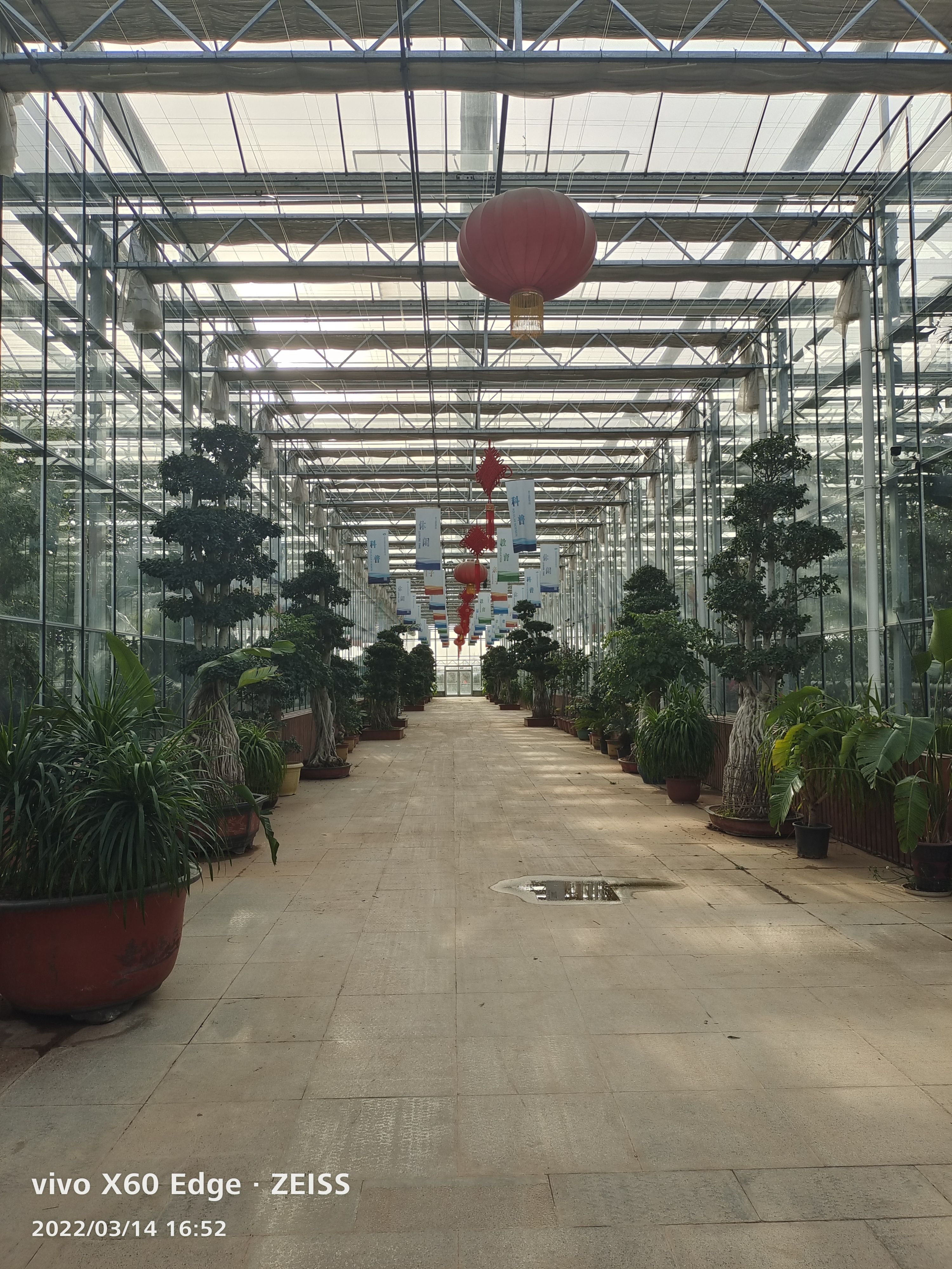 梨花小镇植物博览园旅行图片 2