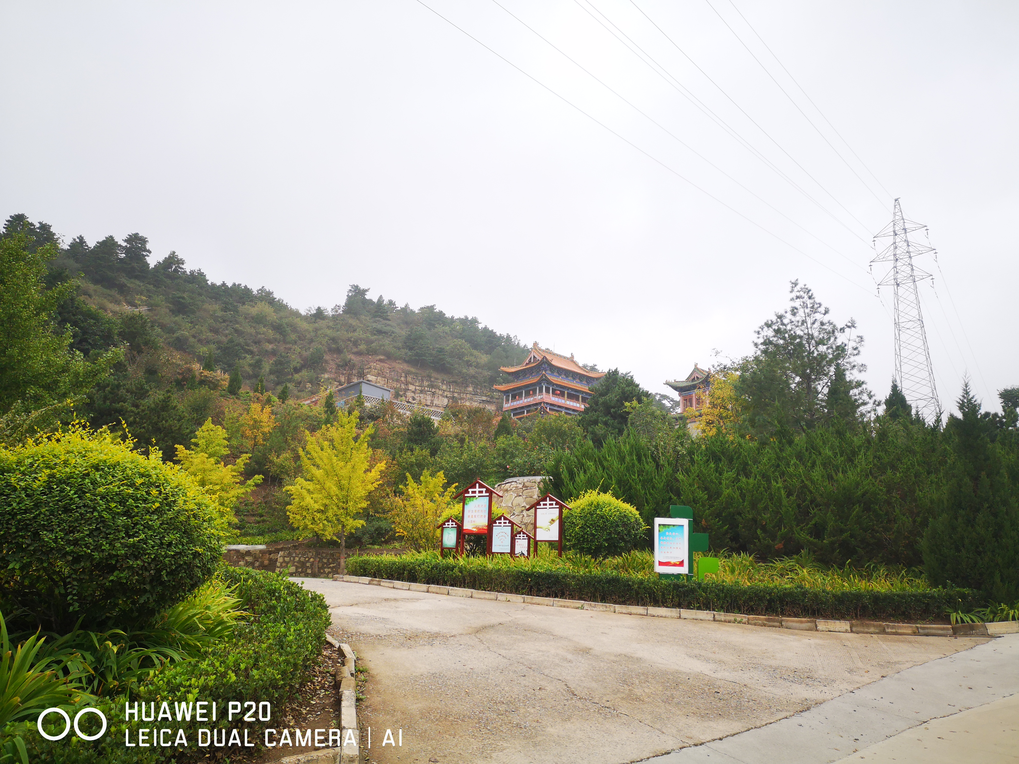 南山公园旅行图片 2