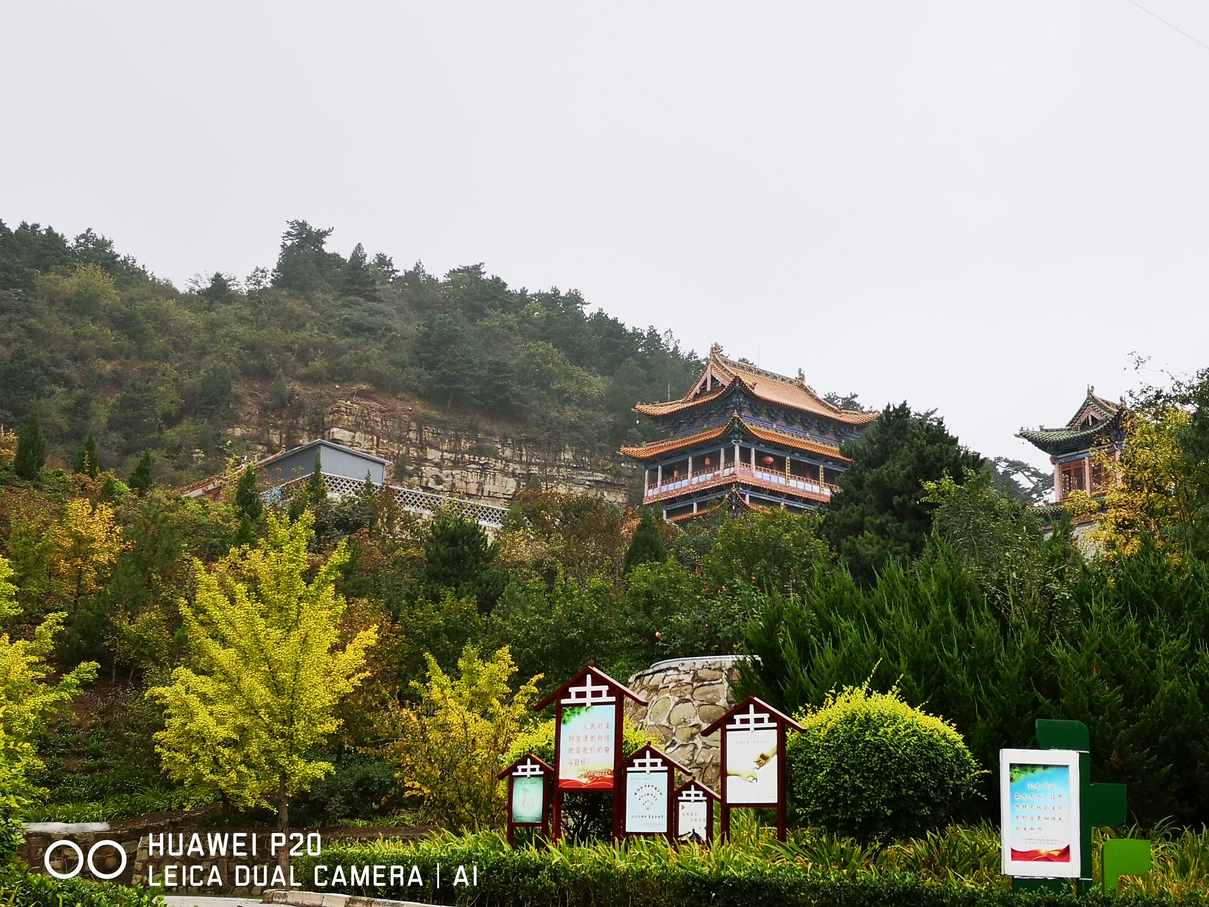 南山公园旅行图片 1
