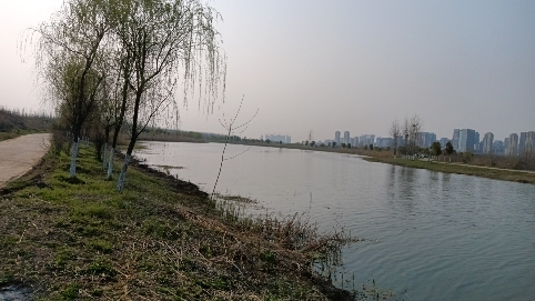 北涝圩湿地旅行图片 1