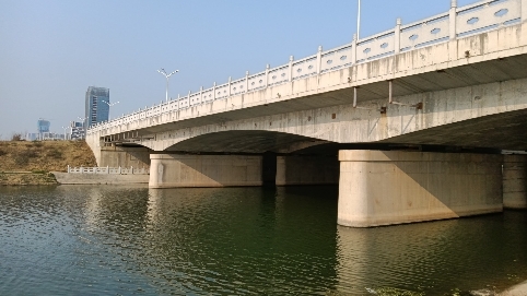 北涝圩湿地旅行图片 2