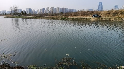 北涝圩湿地旅行图片 3