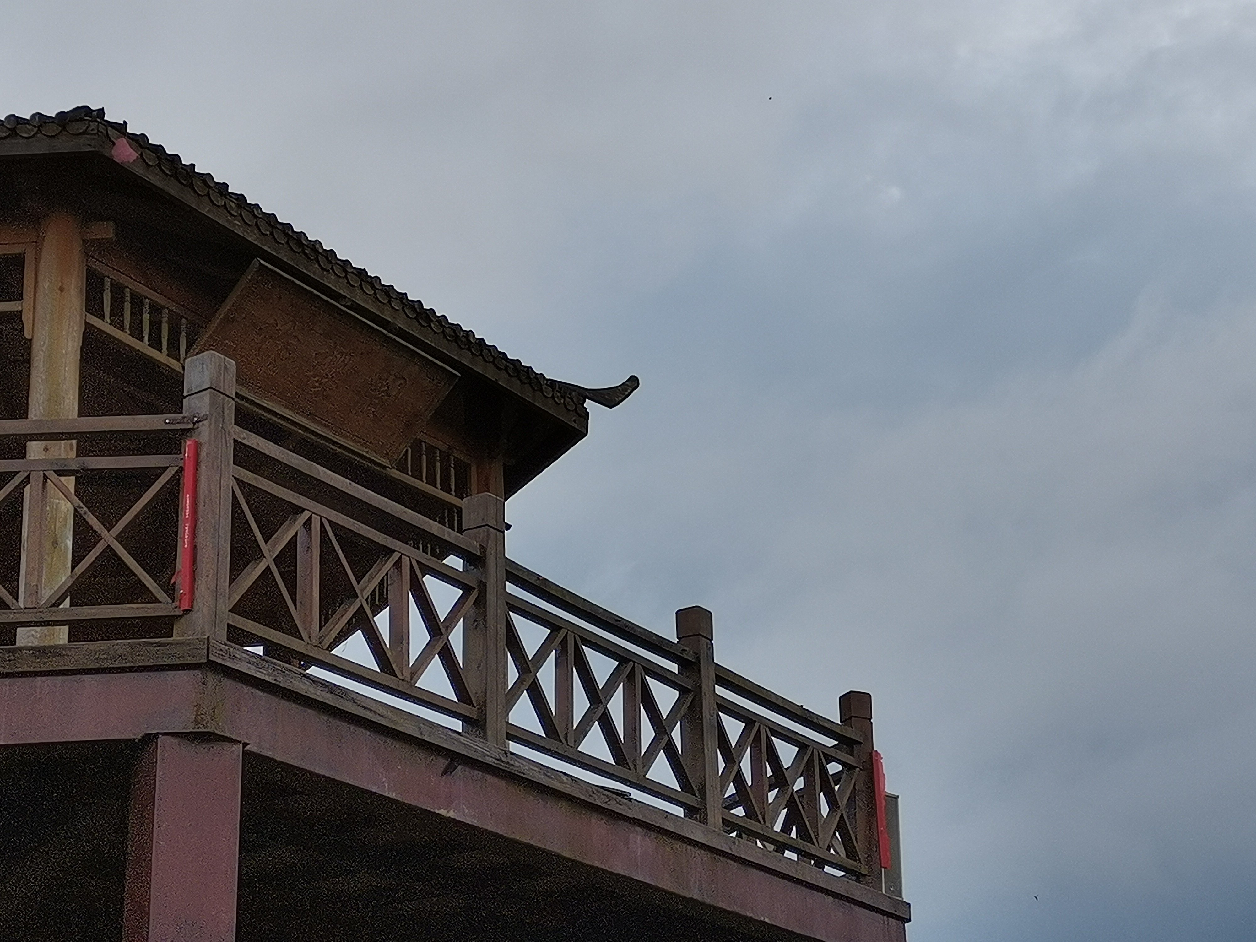 大竹樱花虹景区旅行图片 2