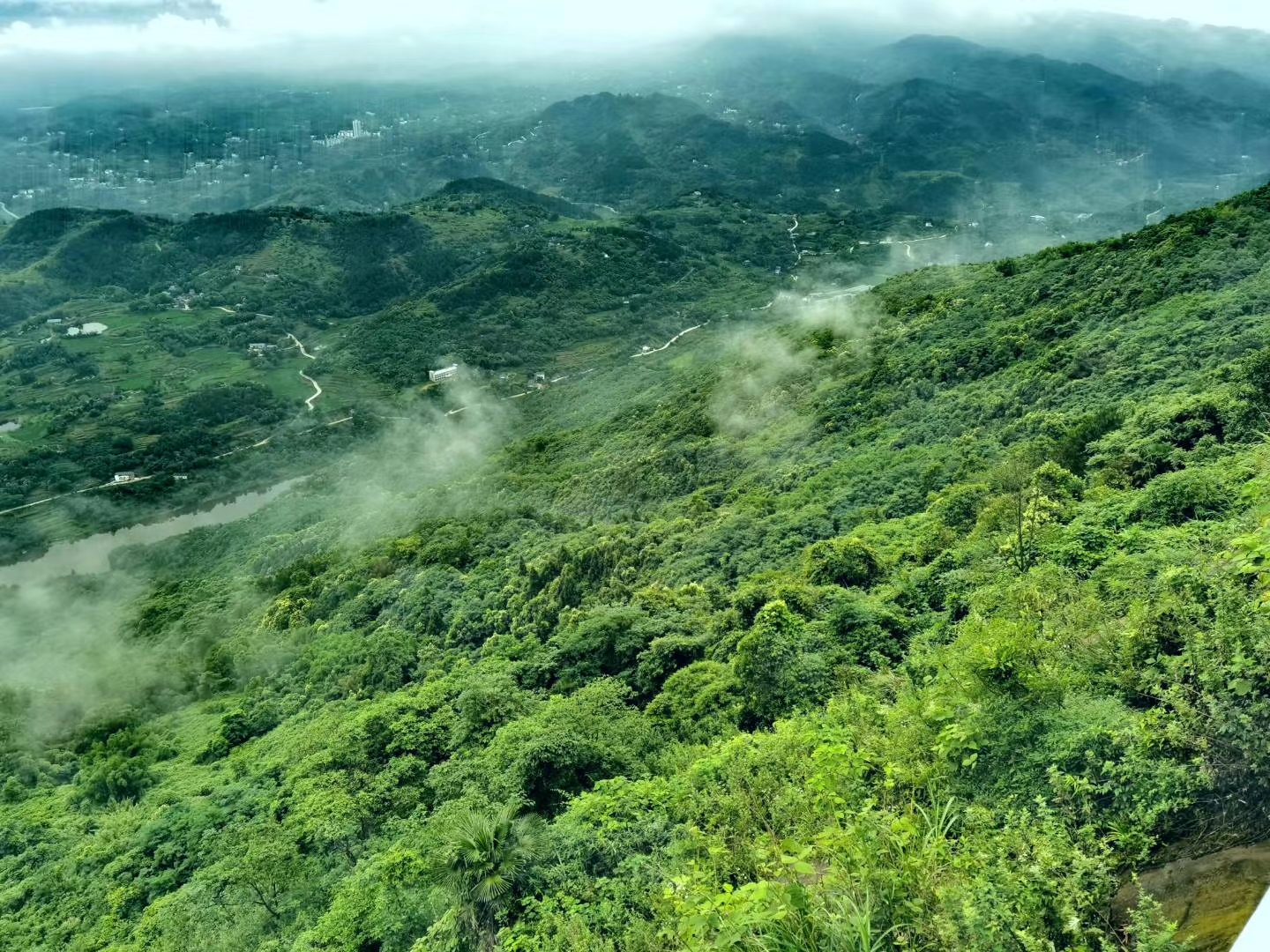 綦江帝岭云湖高山森林度假公园旅行图片 1