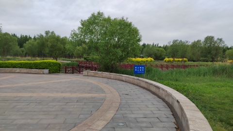 永定河故道国家湿地公园旅行图片 2