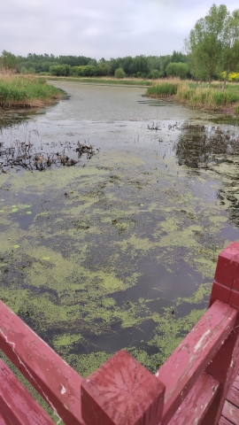永定河故道国家湿地公园旅行图片 3