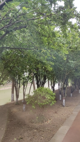 赵定河游园旅行图片 2