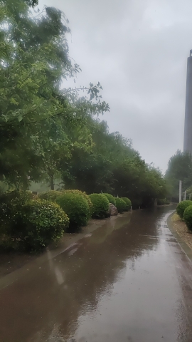 赵定河游园旅行图片 1