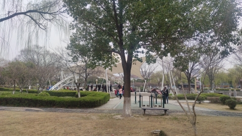 月亮岛旅行图片 1