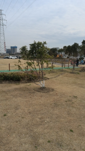 永平湿地公园旅行图片 2
