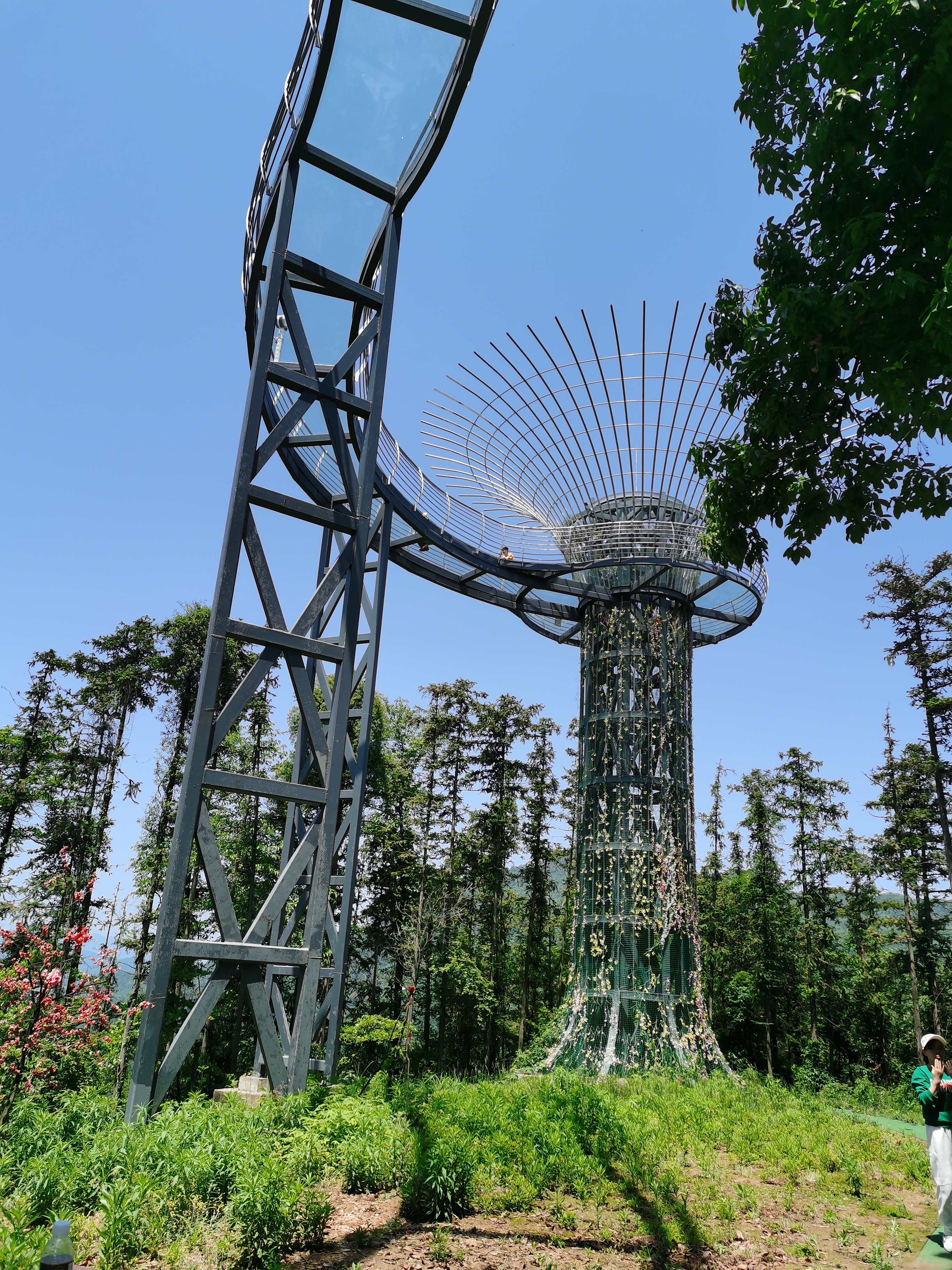 大鲵山森林探险乐园旅行图片 3