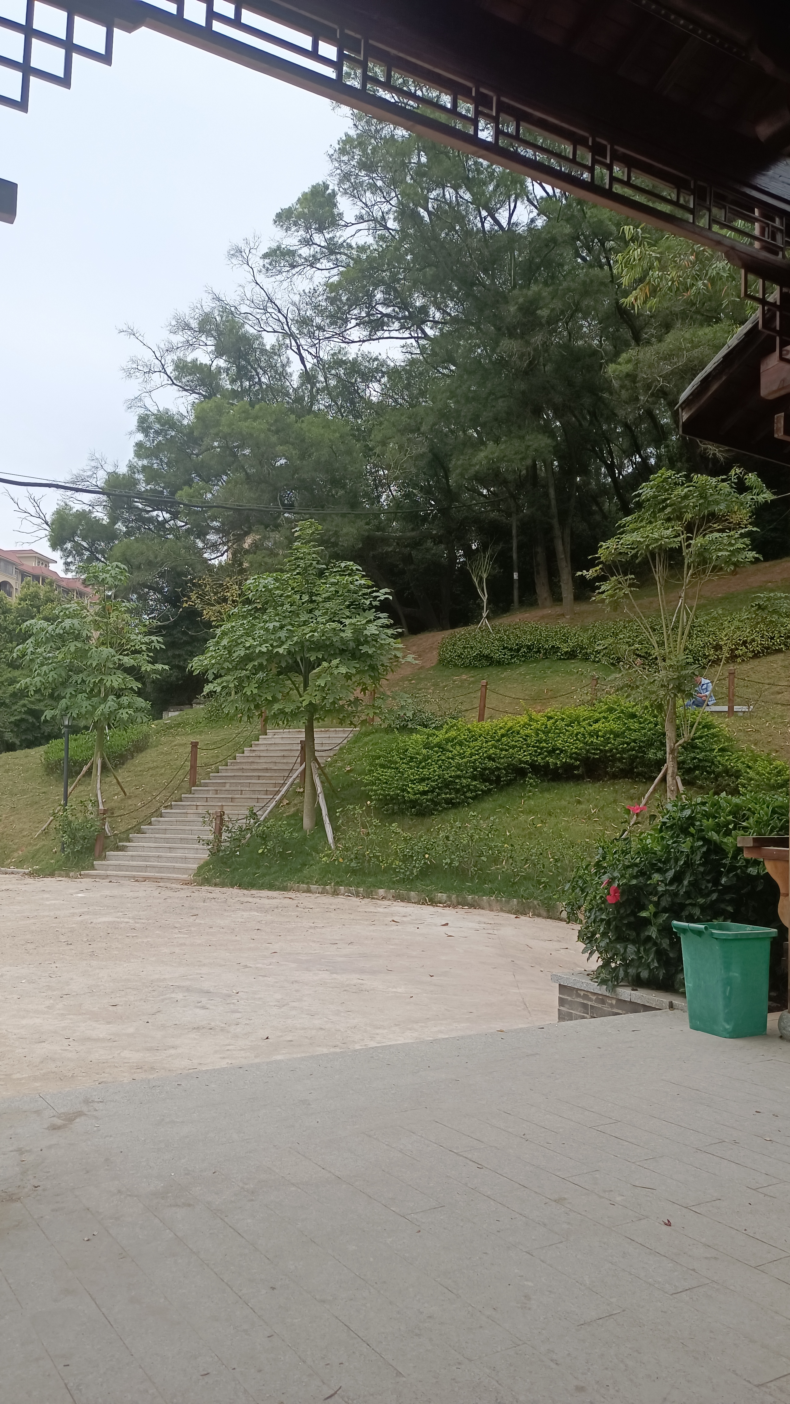 藤县鸡谷山公园旅行图片 3