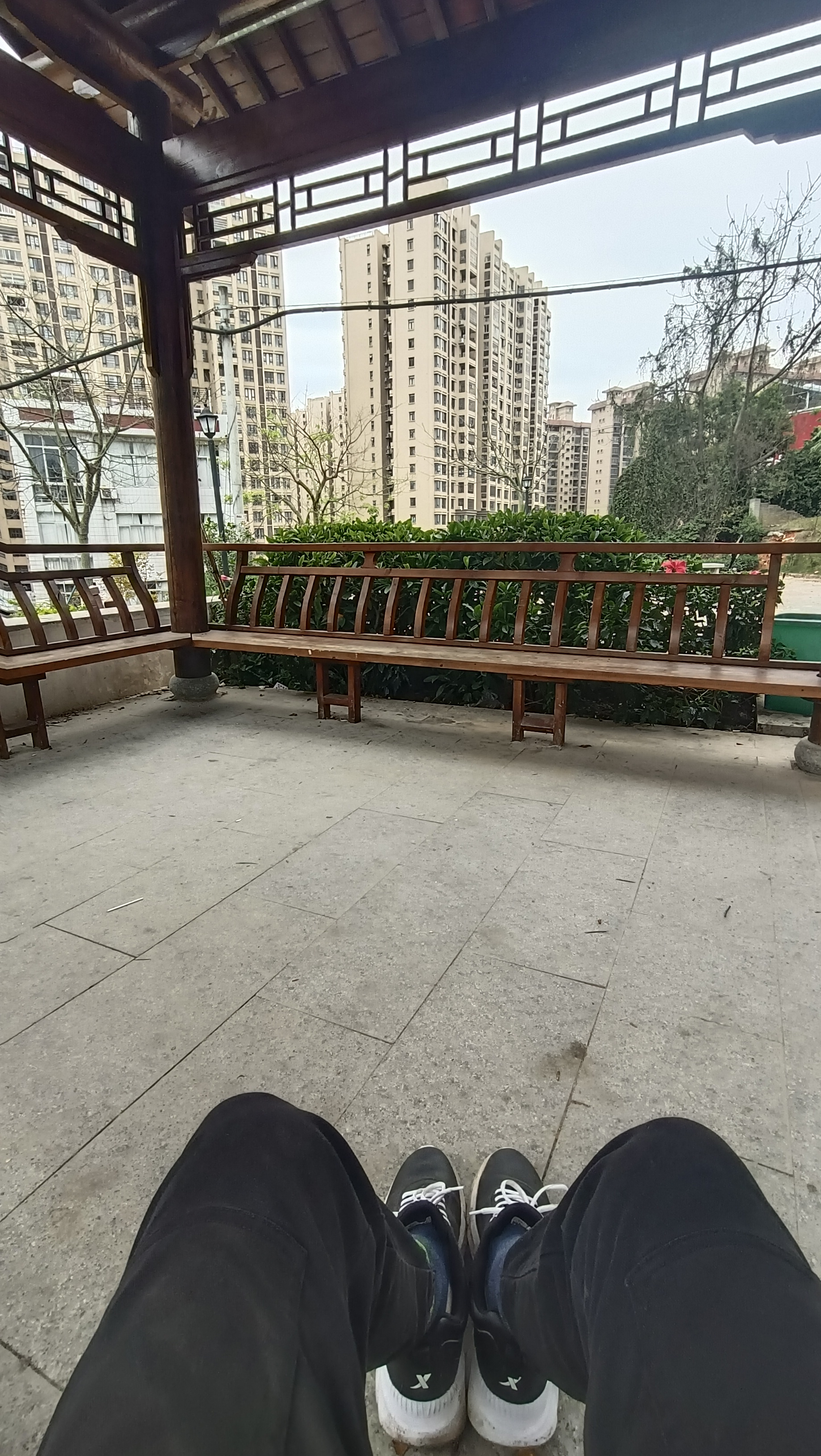 藤县鸡谷山公园旅行图片 2