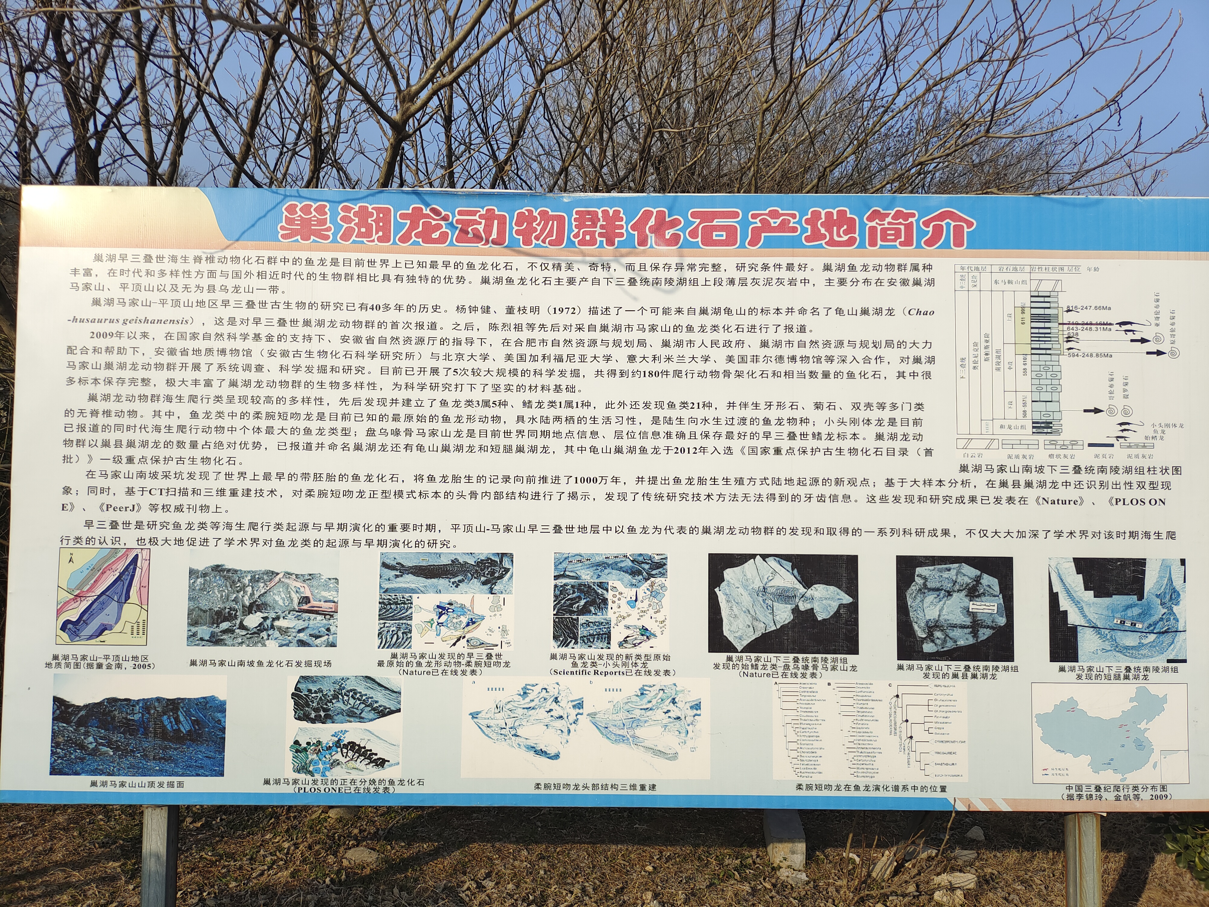 巢湖龙动物群产地旅行图片 1