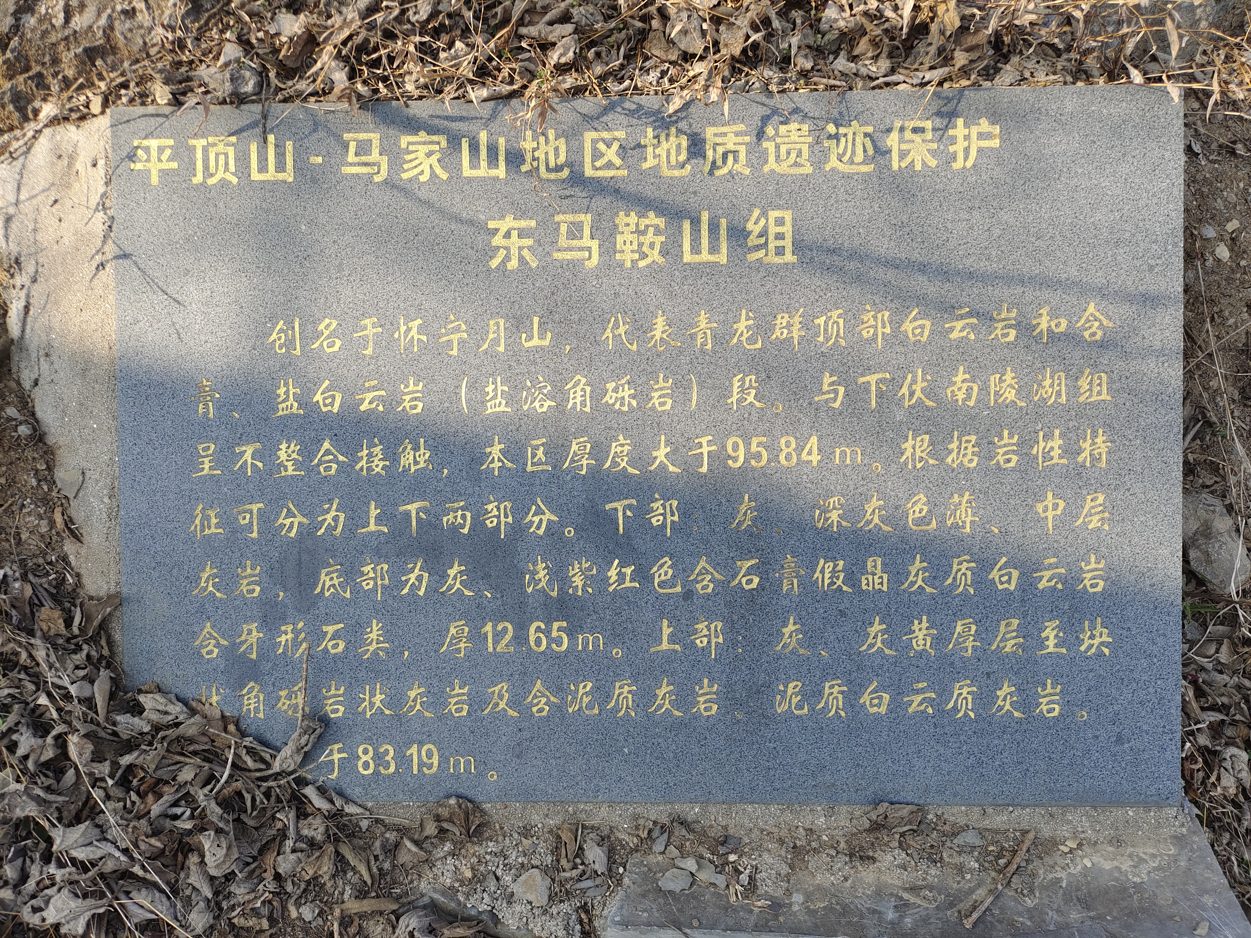巢湖龙动物群产地旅行图片 2