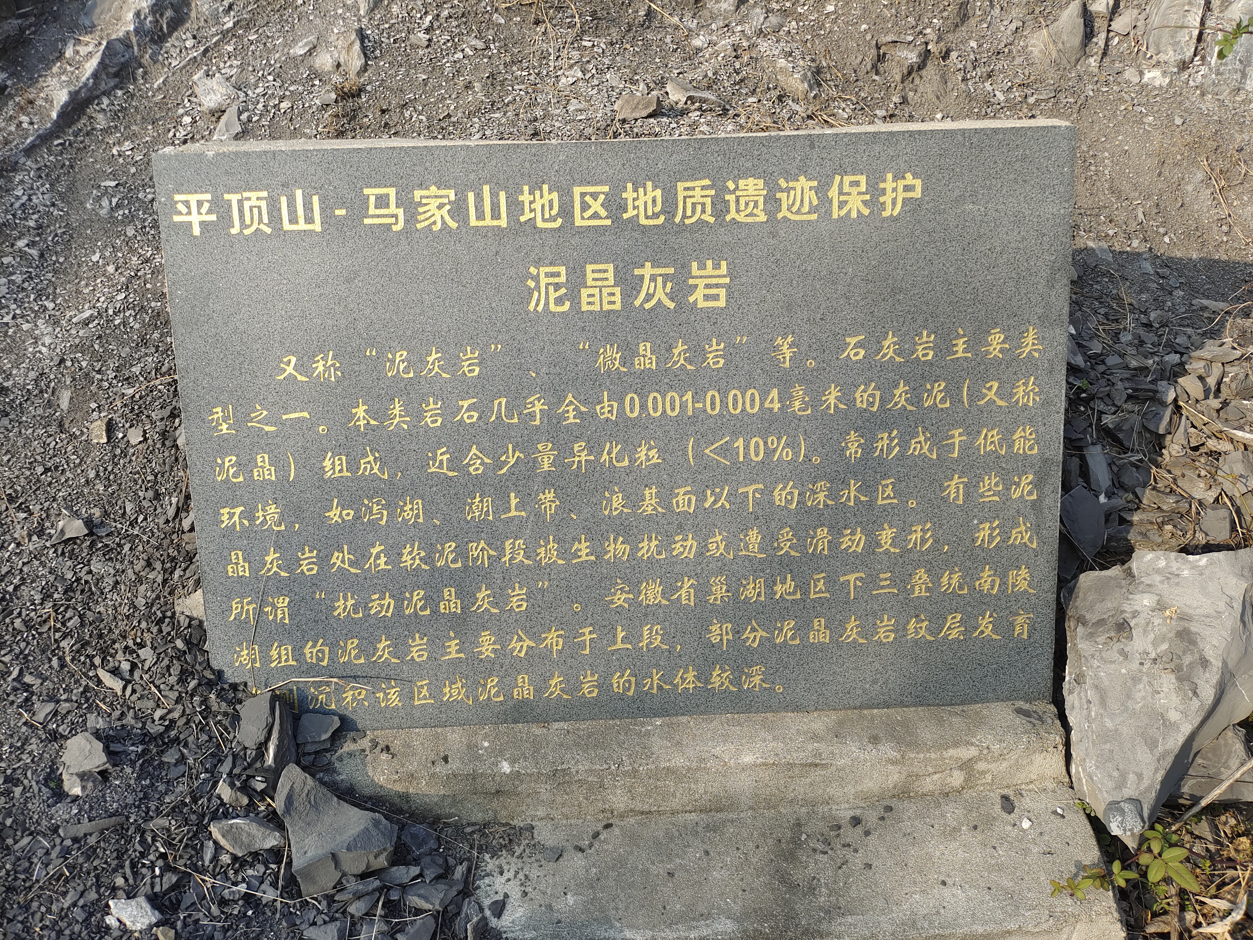 巢湖龙动物群产地旅行图片 3
