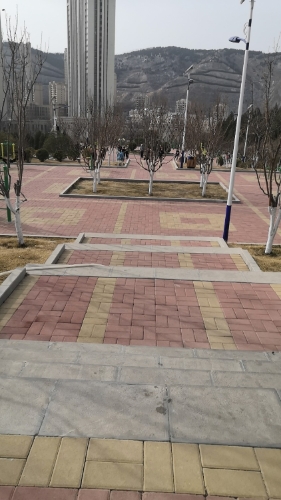 小东山公园旅行图片