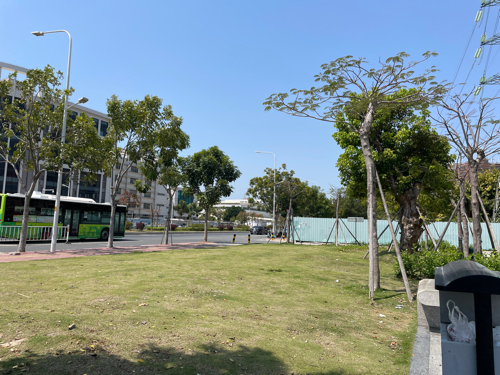 新津公园旅行图片 1