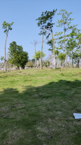 京南湿地公园旅行图片 1