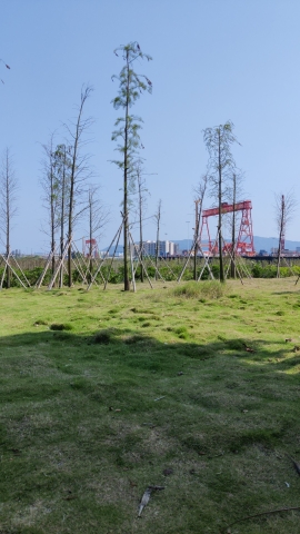 京南湿地公园旅行图片 2