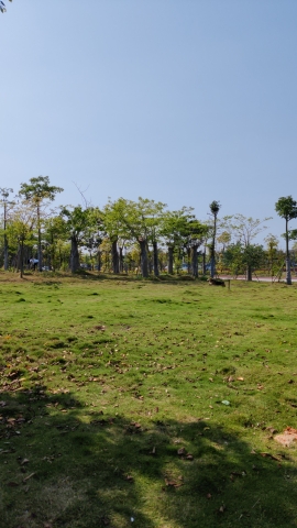 京南湿地公园旅行图片 3