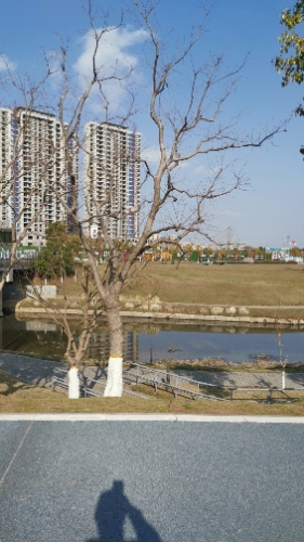 南昌市新建区凤鸣湖公园旅行图片 1