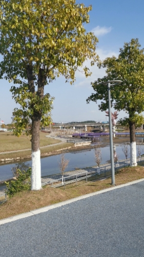 南昌市新建区凤鸣湖公园旅行图片 2