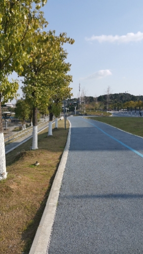 南昌市新建区凤鸣湖公园旅行图片 3
