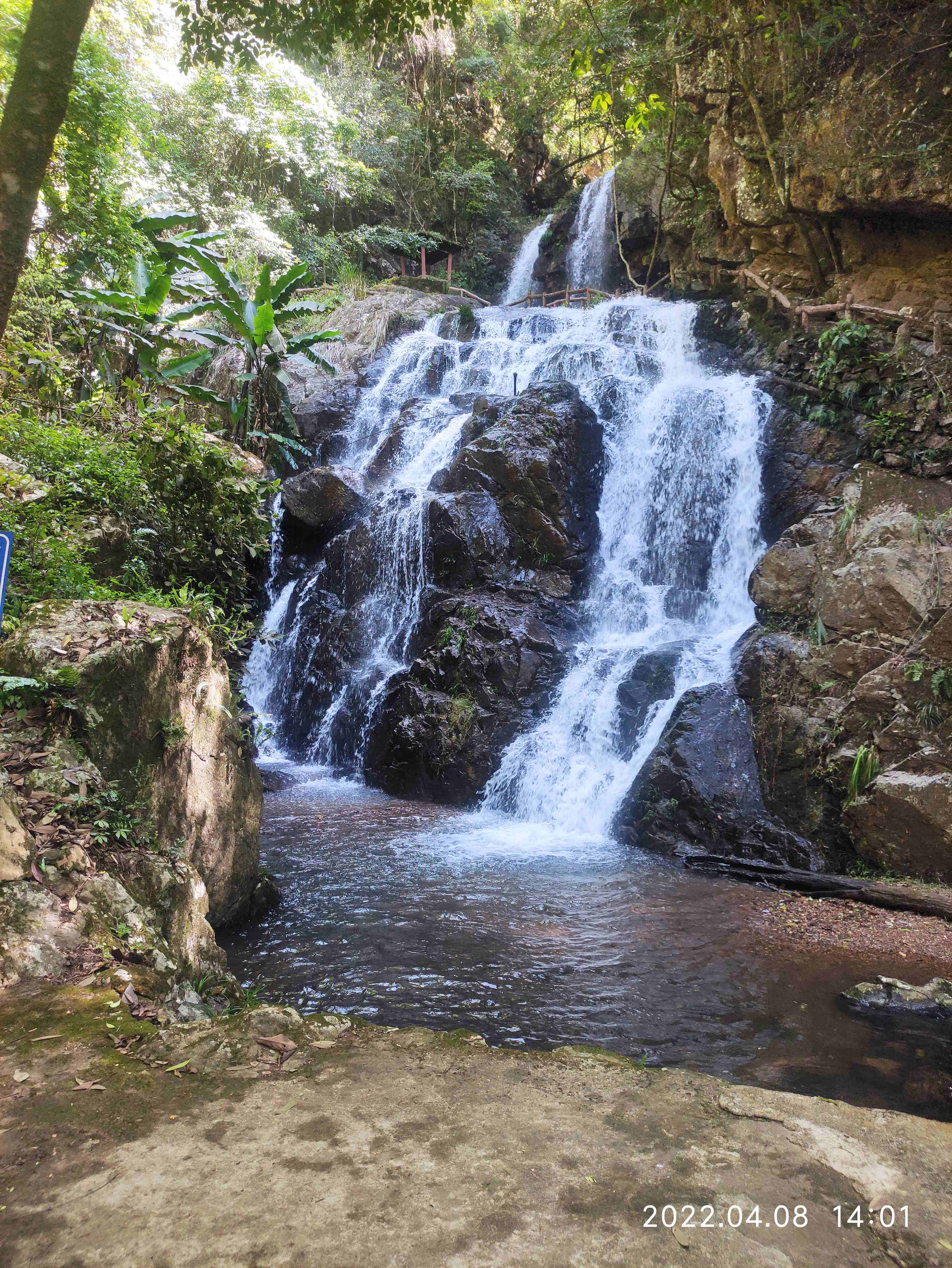 中国龙岩桫椤谷风景区旅行图片 3