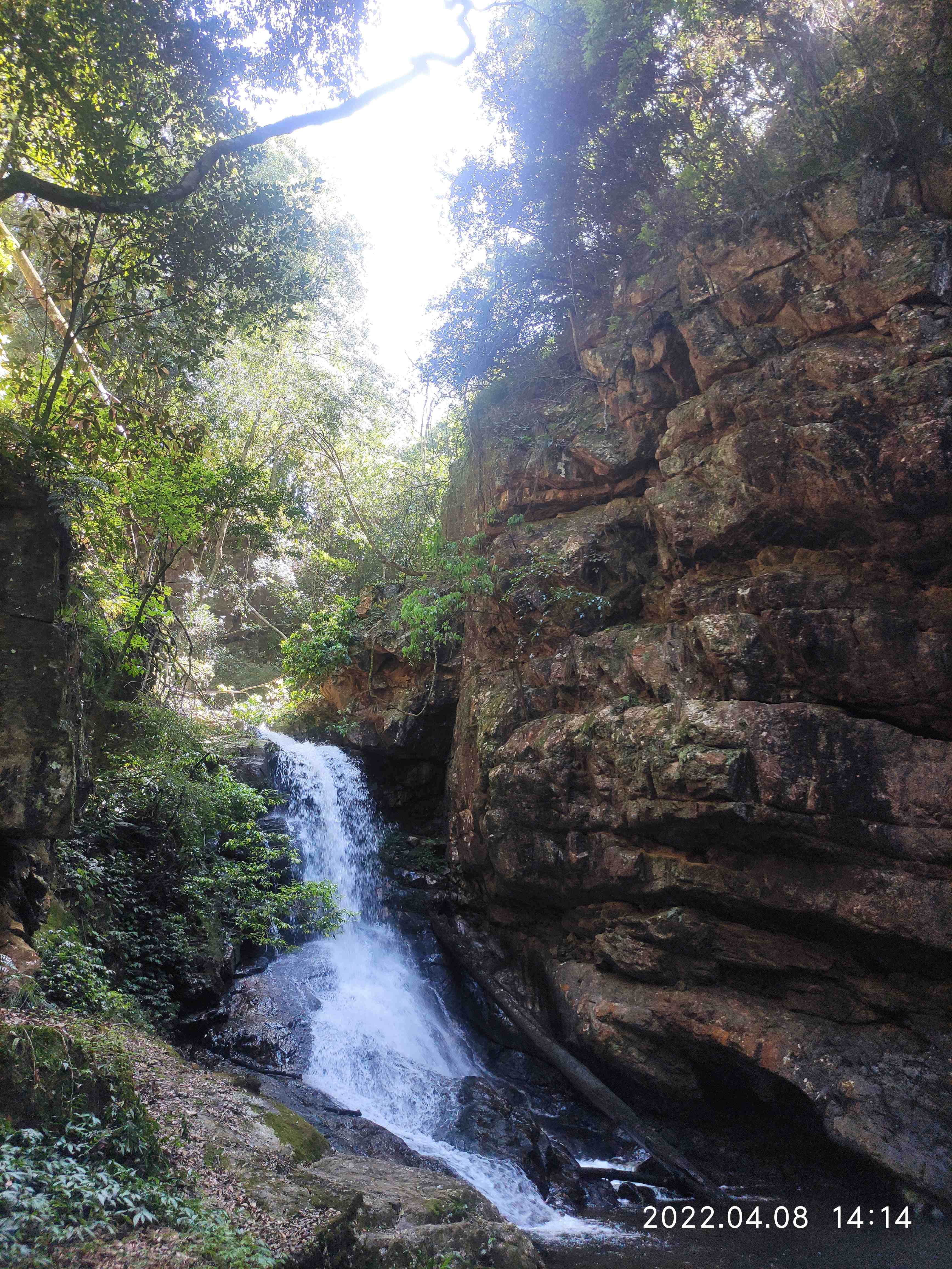 中国龙岩桫椤谷风景区旅行图片 2