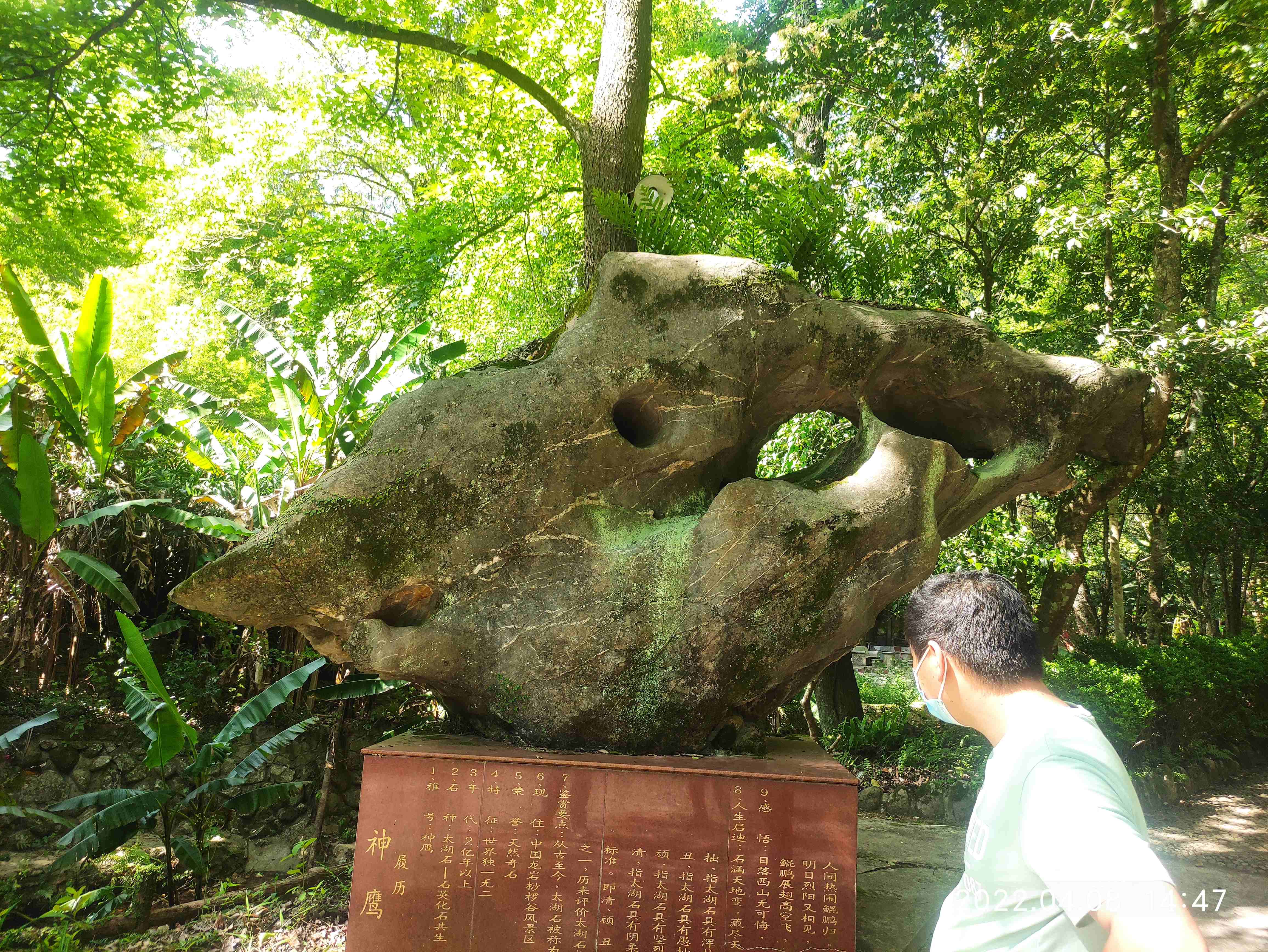 中国龙岩桫椤谷风景区旅行图片 1