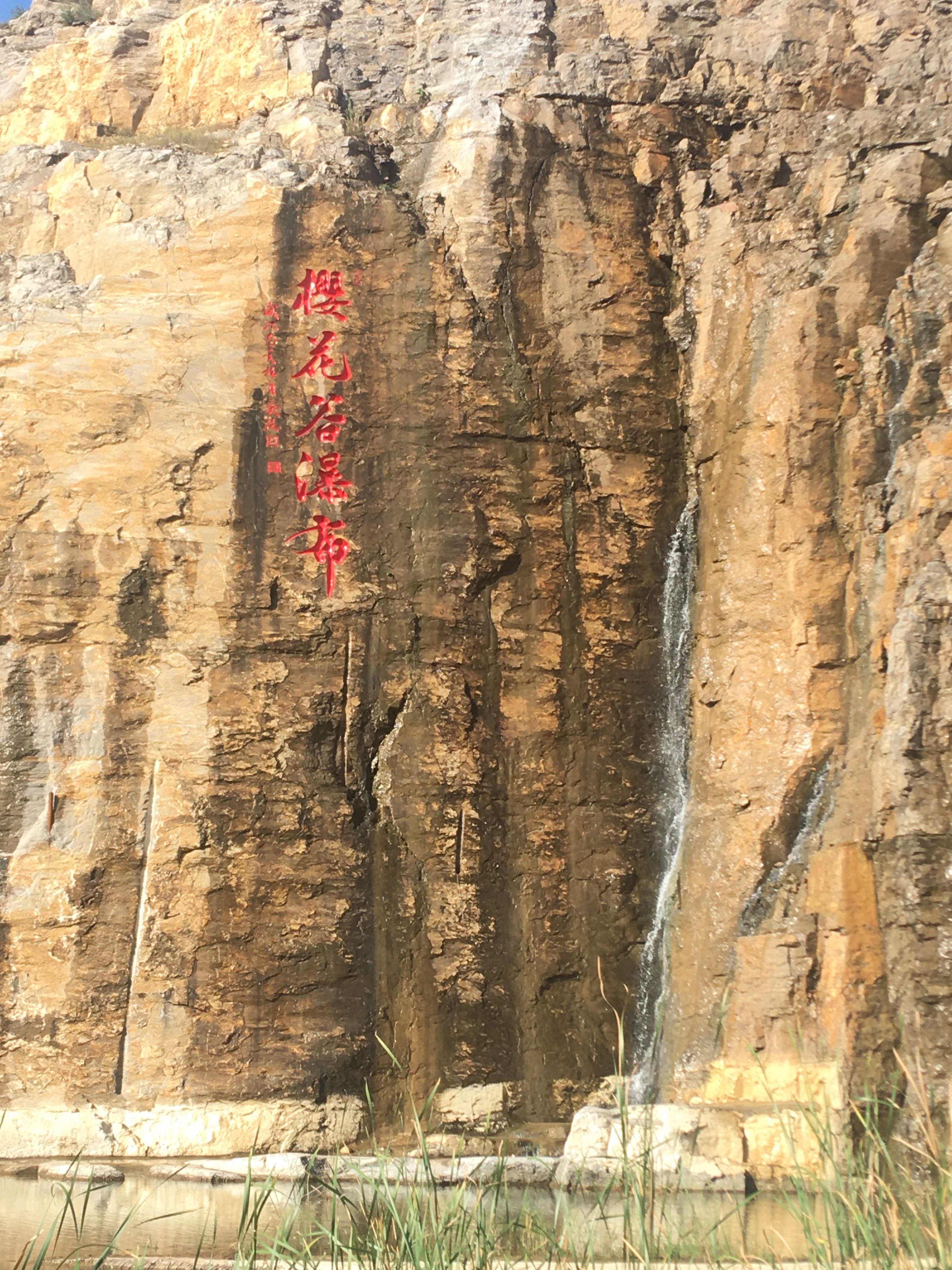 樱花谷旅行图片 3