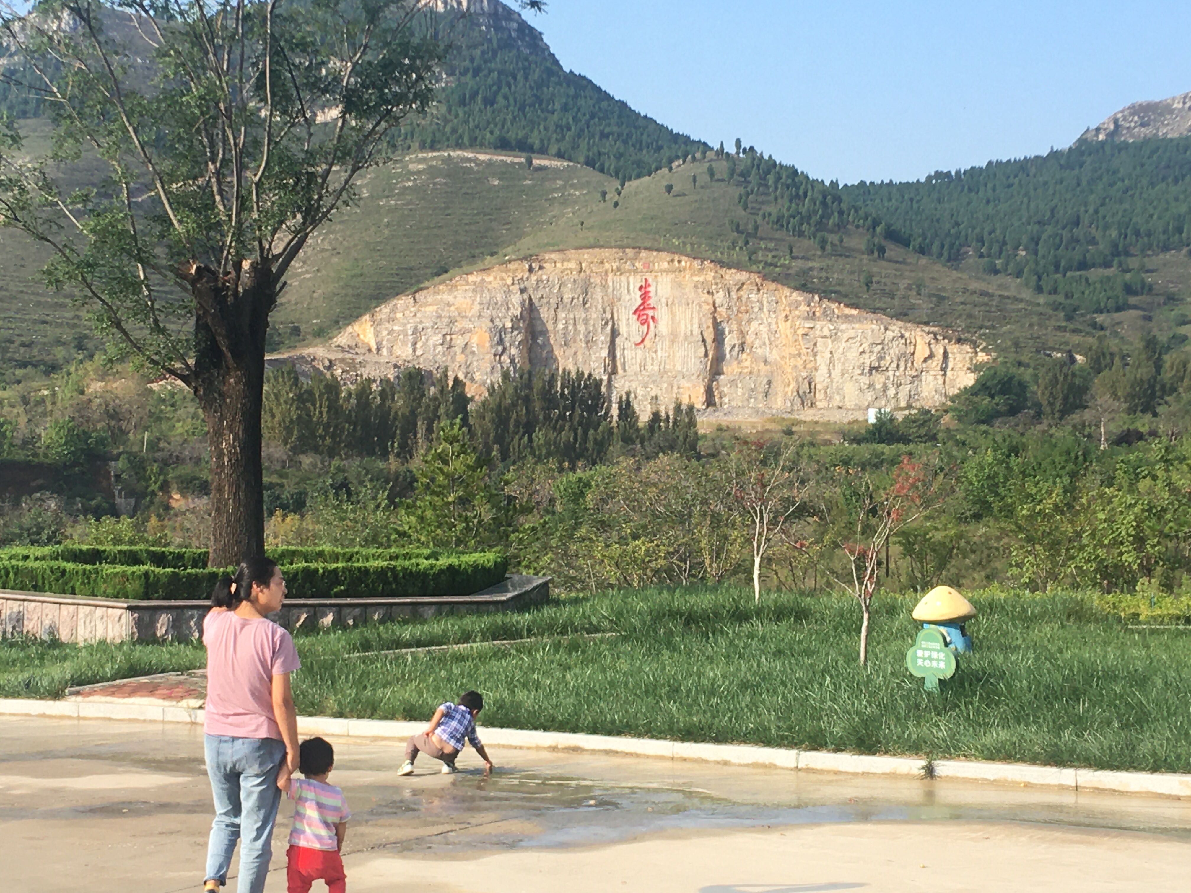 樱花谷旅行图片 2