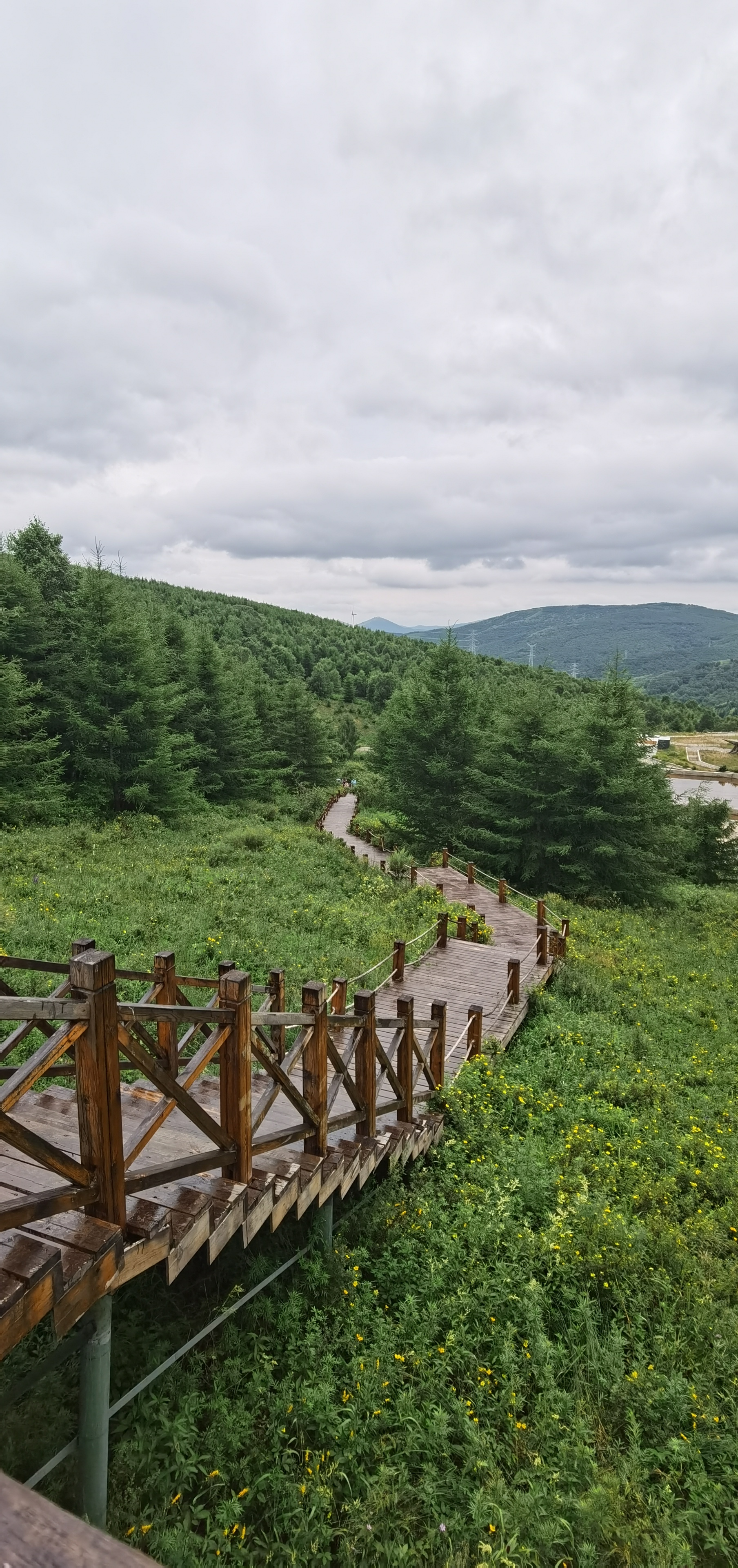 猛犸汽车公园旅行图片 3