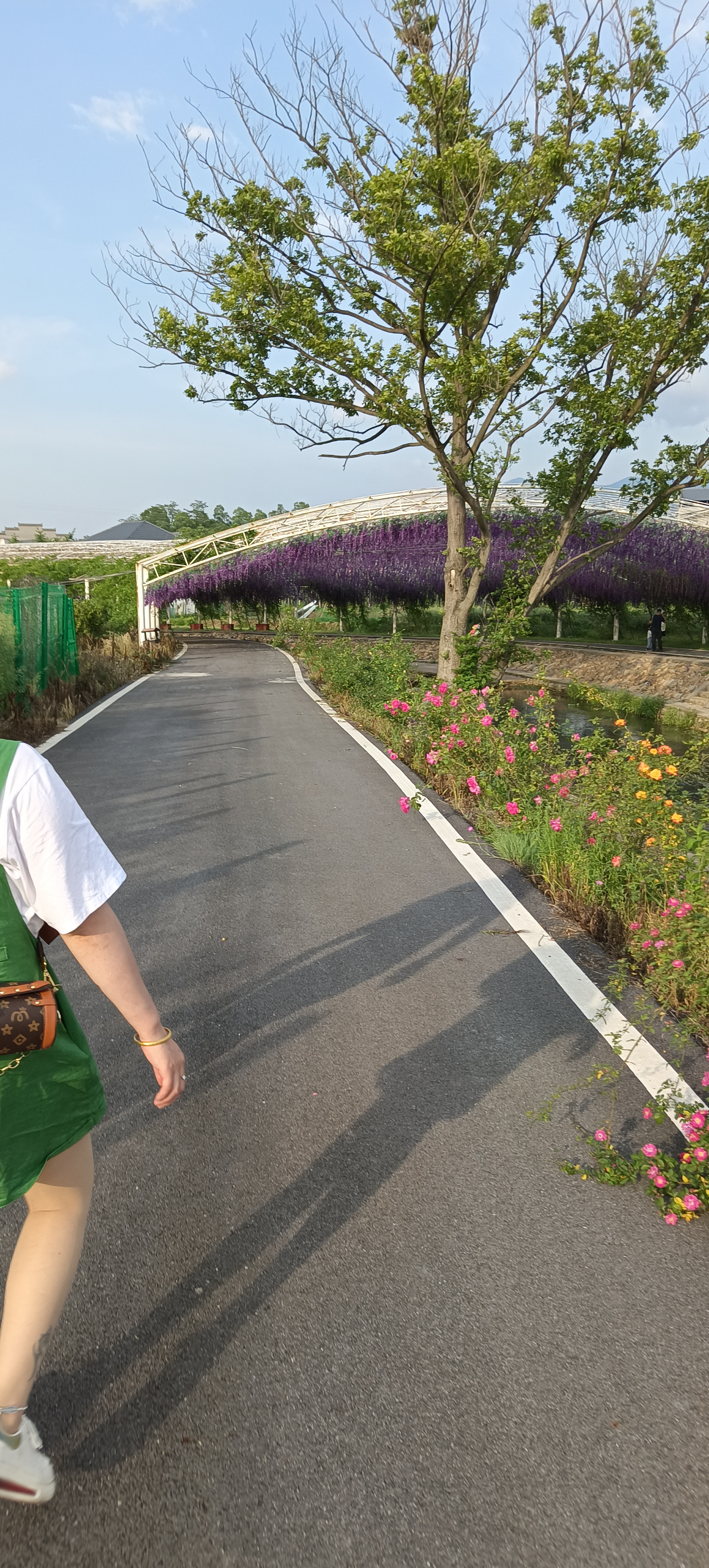 庐山花溪谷旅行图片 2