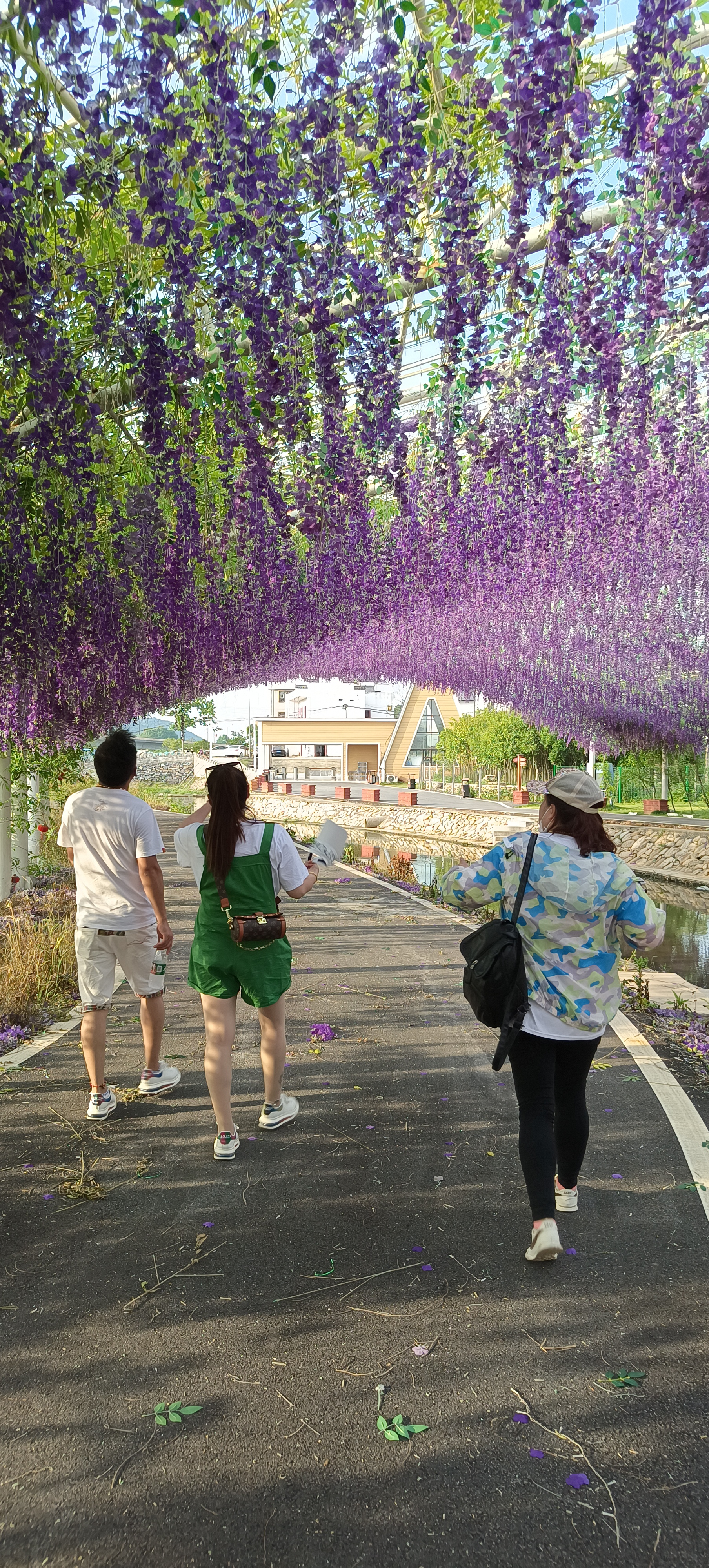 庐山花溪谷旅行图片 1