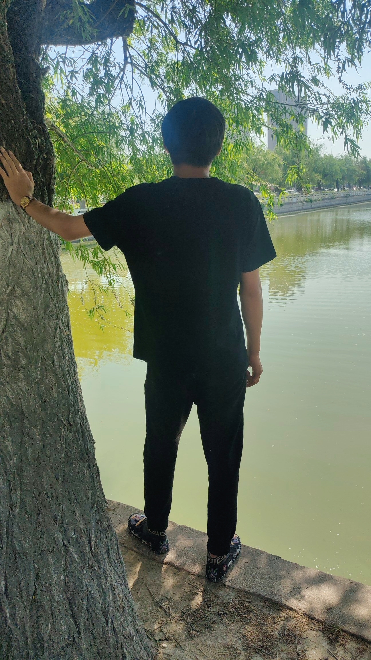 睢县恒山湖湿地公园旅行图片 2